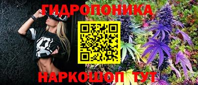 не бодяженный Кингисепп
