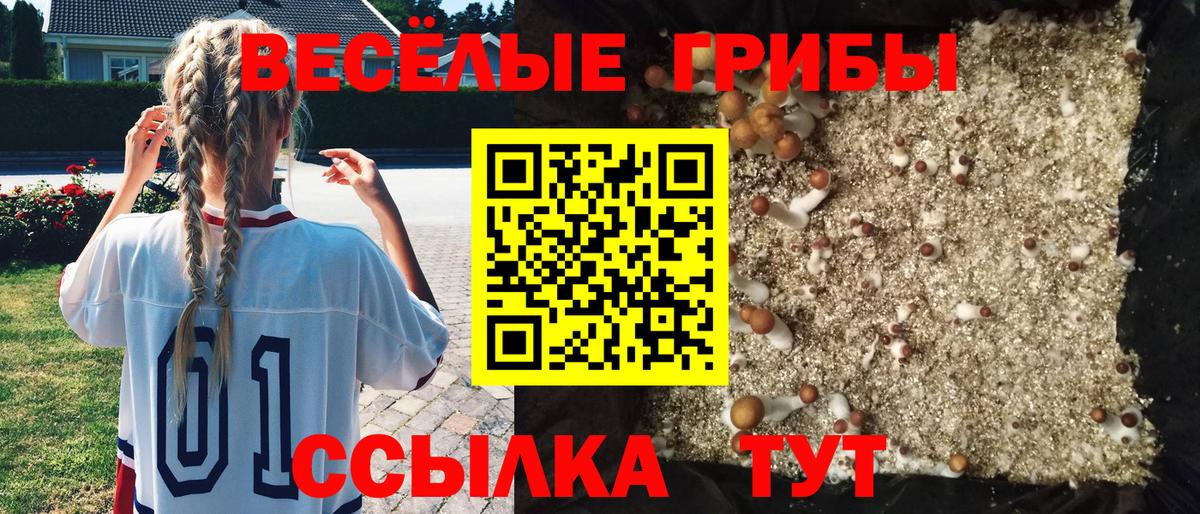 Псилоцибиновые грибы GOLDEN TEACHER Красноярск