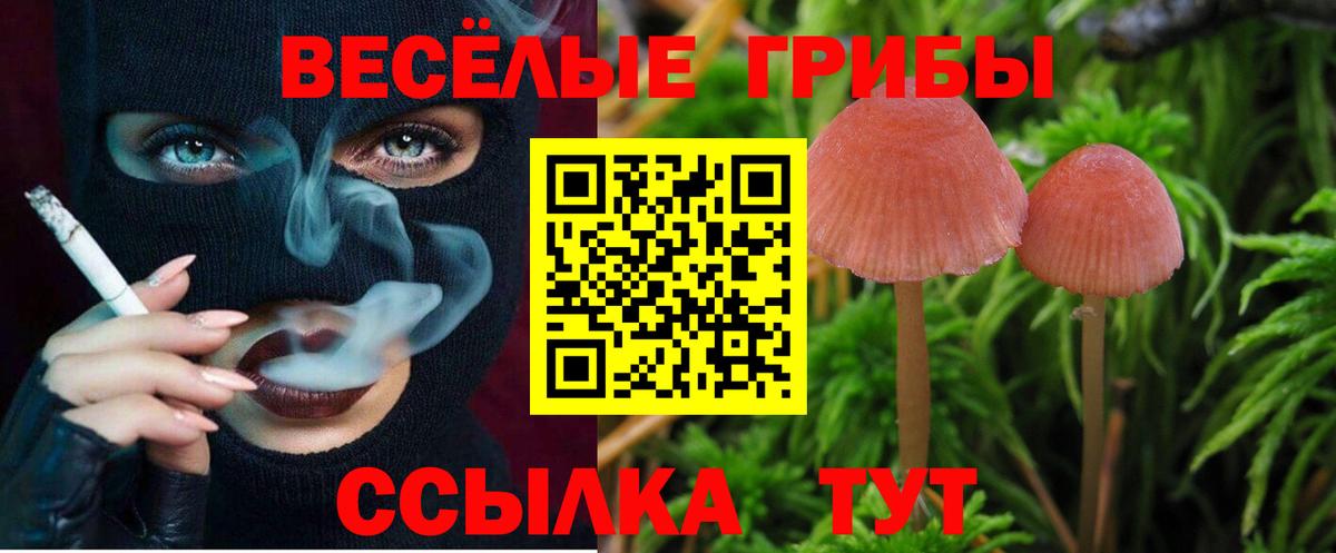 Красноярск  Галлюциногенные грибы MAGIC MUSHROOMS  Вход с VPN  Галлюциногенные грибы Cubensis 
